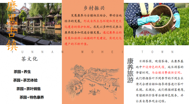 学科竞赛---《“茶语康养·磨黑古镇”茶+康养旅游一体化模式》