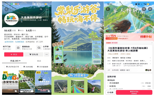 实践实训---网络营销实战《棠梨乐游谷网络营销项目》